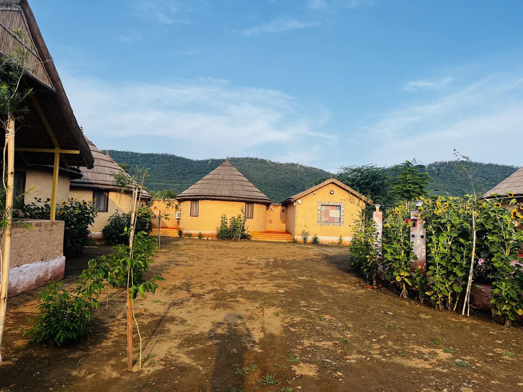Exterior view of a mud cottage facade at Sariska Tiger Lodge