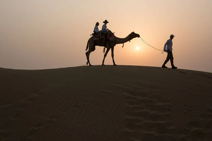 Traditional camel safari experience in the rural landscapes of Sariska, Rajasthan.